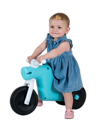Ybike TOYNI